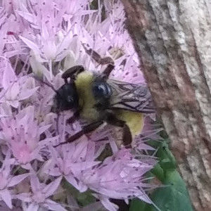 Meet your Posher, Sabrina